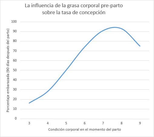 Adelgazar estando sobre las manzanas