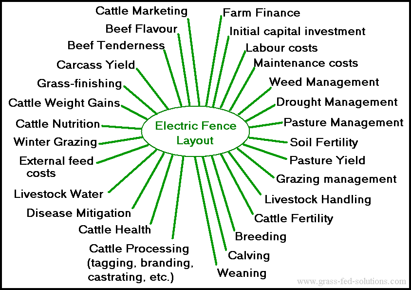 horse farm business plan templates