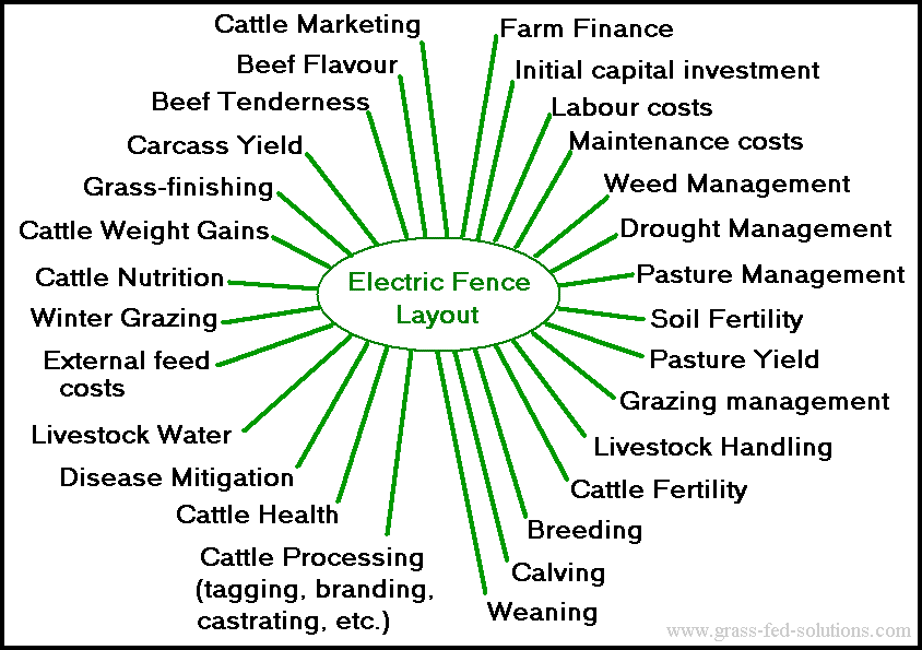 Layout for business plan