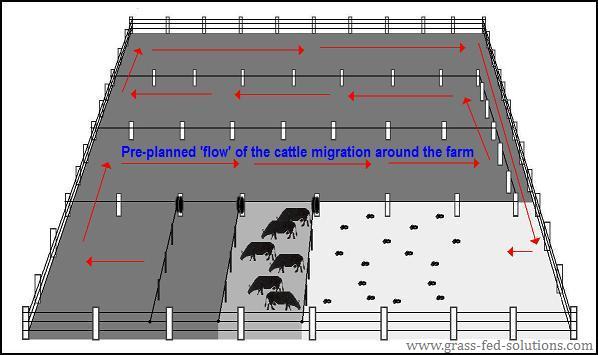 Planning Your Portable Electric Fences - The Smart Electric Fence Grid