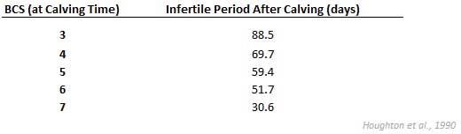 Length of the Postpartum Interval, based on body condition score at calving time