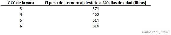 GCC de la vaca vs. El peso del ternero al destete GCC de la vaca vs. El peso del ternero al destete