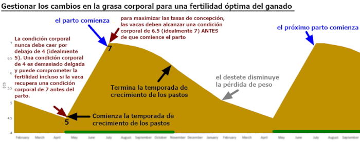 Objetivos del Programa Suplementario