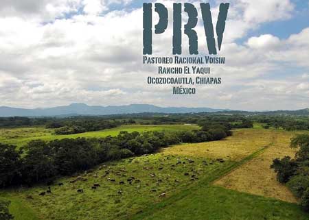 Rational Grazing - Interview with Daniel Suárez Rational Grazing - Interview with Daniel Suárez