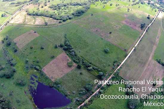 Rancho El Yaqui - pastures Rancho El Yaqui - pastures