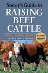 Raising Beef Cattle
