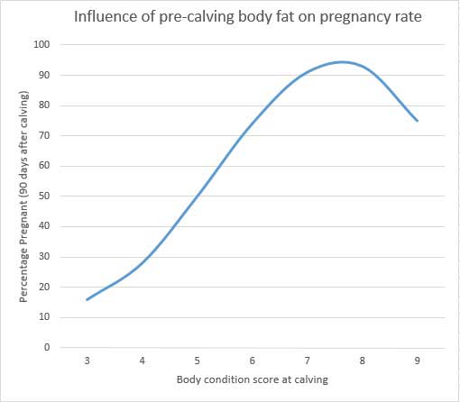 Body Fat vs Probability of Conception Body Fat vs Probability of Conception