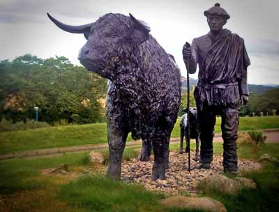 Cattle-Breeders how to choose one