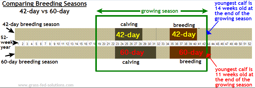 Calving Chart