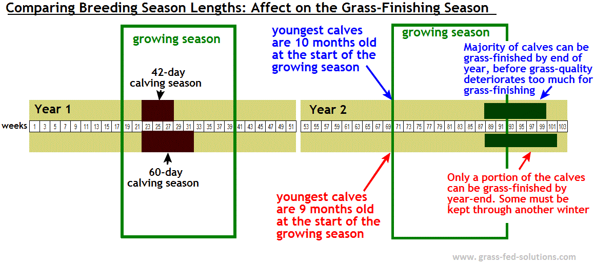 Cattle Heat Cycle Chart