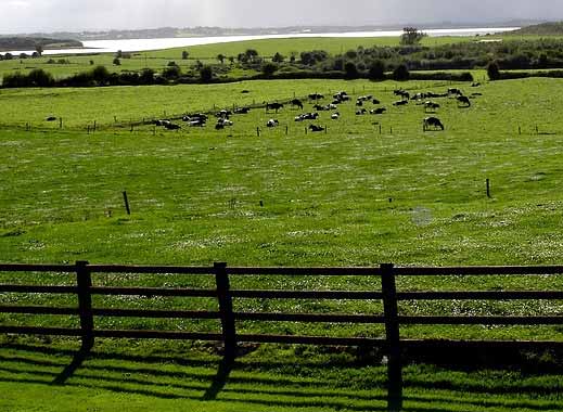 Cattle fences are your 3-D farm plan