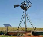 Cattle Water in the Pasture Rotation