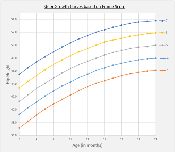 Large Frame Weight Chart