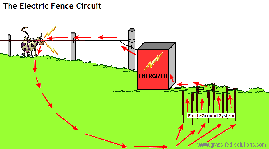 Electric Fence Installation