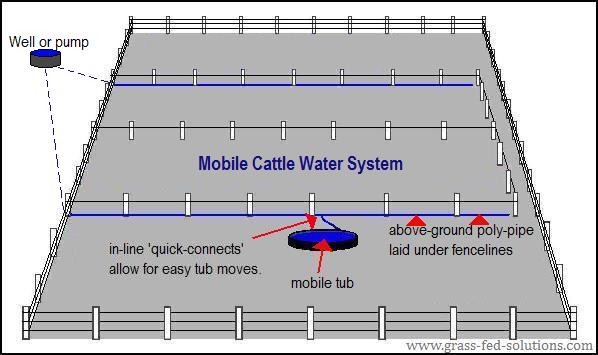 Portable Electric Fence Construction Tips - The Smart Electric