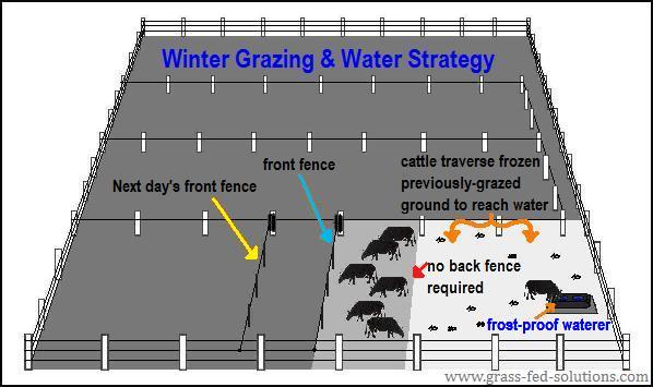 Troubleshooting A Livestock Electric Fence - Livin Spaces