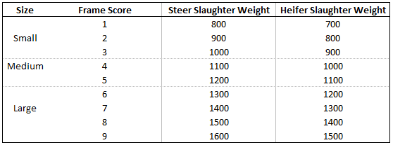 Cattle Size Chart