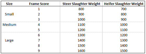 Weight Frame Chart