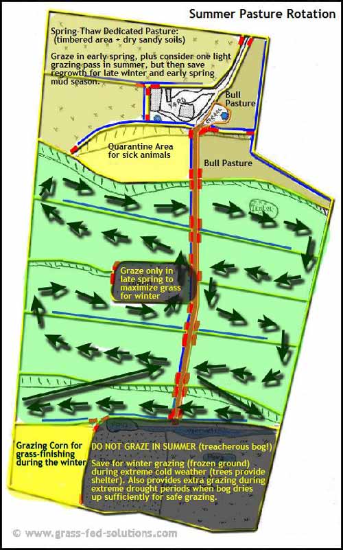 Example Farm Plan: summer grazing plan