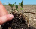 How to improve soil moisture retention in your pastures Pasture Soil Moisture