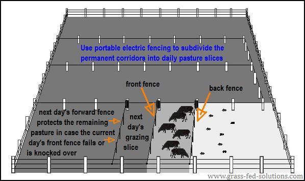 Electric Fence Design - Cooperative Extension: Livestock