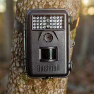Motion-triggered wildlife camera Motion-triggered wildlife camera