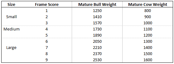 How to calculate target slaughter weights for your beef cattle